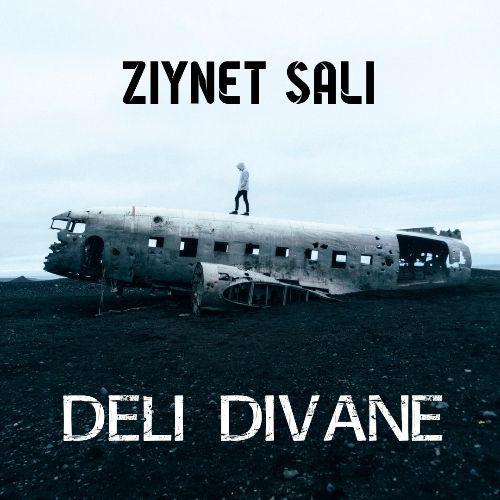 دانلود آهنگ ترکی Ziynet Sali Deli Divaneim