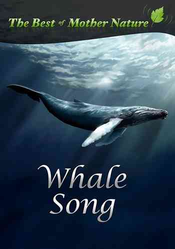 دانلود آهنگ بی کلام و لایت تنهاترین نهنگ دنیا Whale اثری از Iday