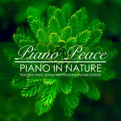 دانلود آهنگ پیانو Piano Peace به نام Piano and Water