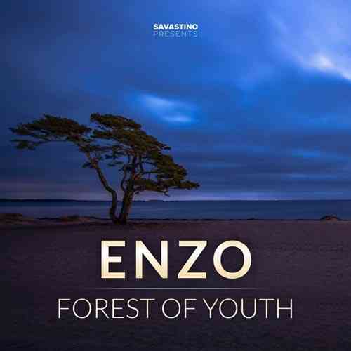 دانلود آهنگ بی کلام و لایت Forest Of Youth اثری از Enzo