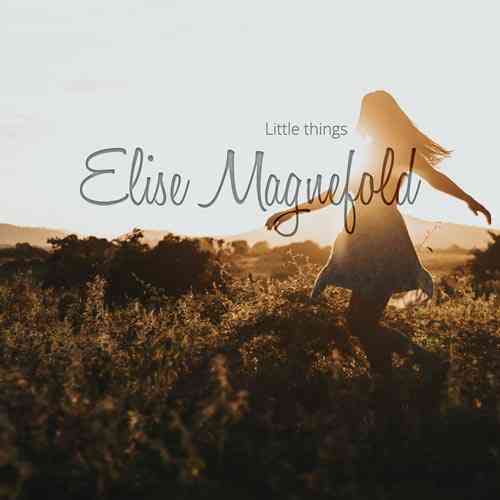 دانلود آهنگ گیتار Elise Magnefold به نام Little Things