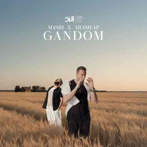 دانلود آهنگ جديد مسیح و آرش AP گندم با 2 کیفیت و متن آهنگ